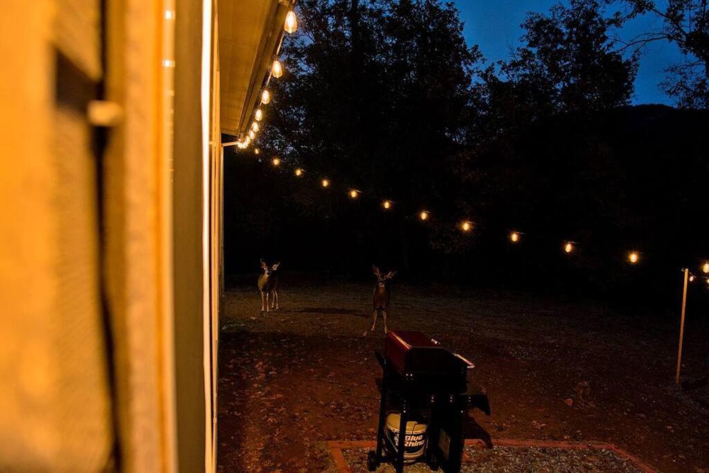 Yosemite'S Scenic Hideaway Villa Мидпайнс Екстериор снимка